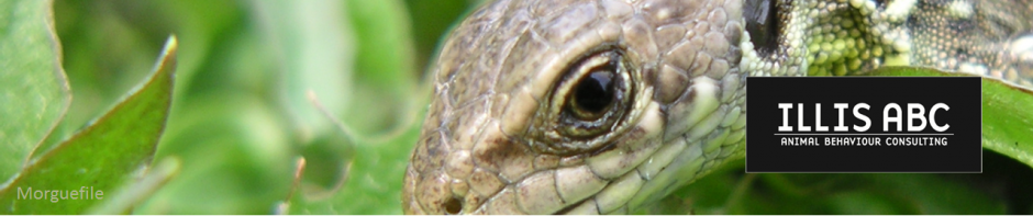 cropped-reptil1.png