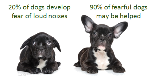 do loud noises hurt dogs ears