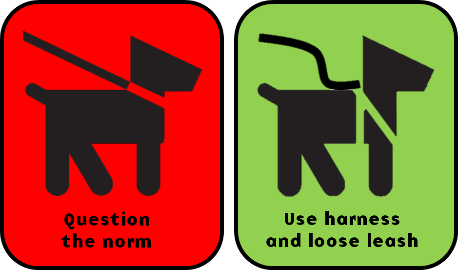 question the norm - use harness and looses leash