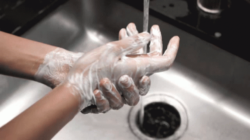 Wash Hands Wash Your Hands GIF - WashHands WashYourHands ...